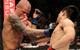 ufc.com