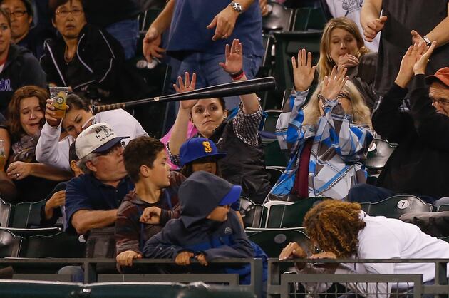 Videos of Fans Getting Clobbered