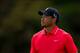 Tiger Woods won five titles but no majors in 2013.