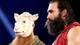 WWE.com