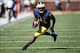 Michigan WR Jeremy Gallon