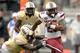 South Carolina running back Mike Davis (right) has been the Gamecocks' most consistent offensive threat.
