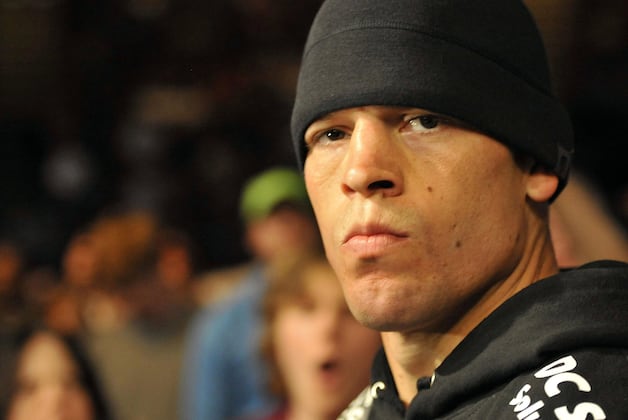 TUF 5: Where Are They Now?