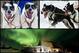 AP Photo/Erik Hill, Johannes Eisele/AFP/Getty Images