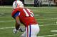 247Sports
