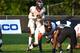 247Sports