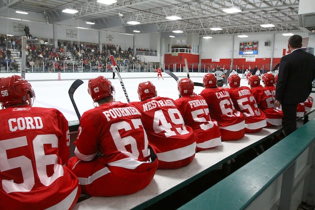 Detroit Red Wings Prospects Most Likely to Be Called Up in 2013-14
