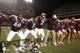 Will Texas A&M fall on the road against Ole Miss?