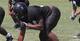 247Sports