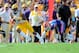 LSU WR Odell Beckham Jr.
