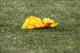 The sight of a flag hitting the turf was far too common on Sunday.