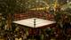 Photo Courtesy WWE