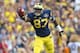 Devin Funchess has given Michigan the vertical threat it needed when Amara Darboh went down this summer.
