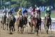 Nine Breeders' Cup champions are back in 2013