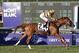 Wise Dan looks for a repeat in the Mile.