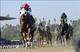 Groupie Doll seeks a repeat in the Filly & Mare Sprint