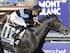 Mizdirection beat the boys in last year's Turf Sprint.