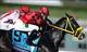 Trinniberg seeks back-to-back wins in the Sprint.