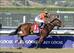 Beholder takes on older in the Distaff.