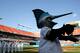 Billy the Marlin during a home game against the Brewers in 2005. Back then, the Florida Marlins, now called Miami Marlins, played at Dolphins Stadium, now called Sun Life Stadium.