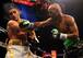 Hopkins was dominant against the much younger Karo Murat.