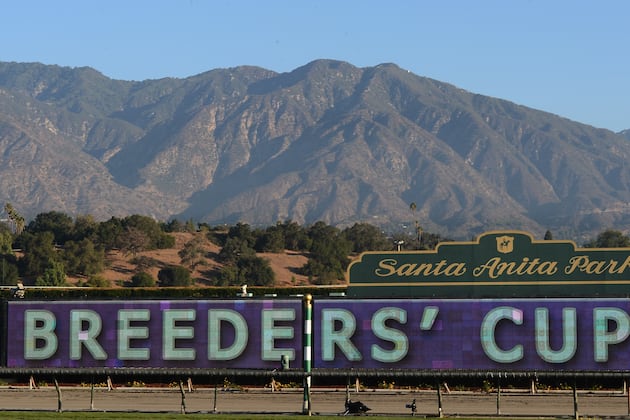 Breeders' Cup Odds: Betting Guide to Favorites and Dark Horses