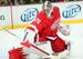 Jimmy Howard has been the workhorse for Detroit since being named the starter.