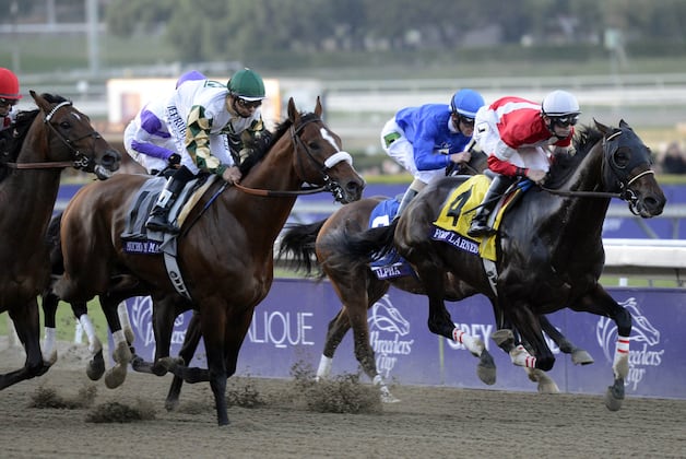 Breeders' Cup 2013: Power Ranking the Horses in This Year's Classic Field
