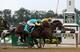 Paynter lost the 2012 Belmont Stakes in a photo finish.