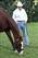 Trainer D. Wayne Lukas will saddle Will Take Charge.