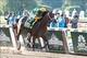 Belmont Stakes winner Palace Malice will be a threat in the Classic.