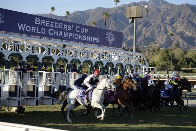 Breeders' Cup 2013: Biggest Takeaways from This Year's Races