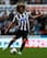 Newcastle captain Fabricio Coloccini could return to action this weekend