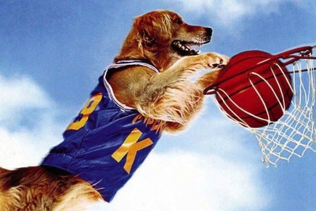 Sports Movies That Actually Need a Reboot