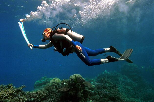 Coolest Things Done with the Olympic Torch