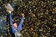 Jimmie Johnson celebrates his sixth NASCAR championship.