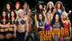 It's Team Total Divas against Team WWE at Survivor Series this year.