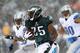 There "snow" telling how many yards Philadelphia Eagles running back LeSean McCoy will run for in 2013.