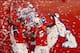 The Bulldogs hope to be celebrating a BCS berth come December.