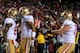 San Francisco's offense celebrates after a touchdown.