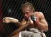 Urijah Faber