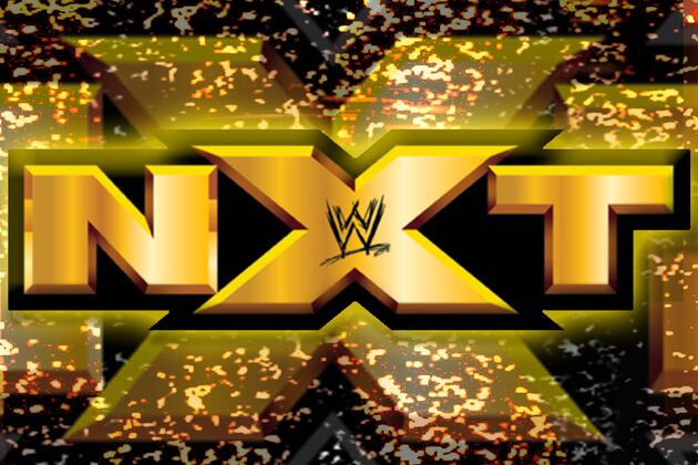Identifying the Top 5 Contenders for the NXT Championship