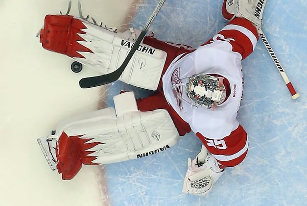 The Best Saves from Detroit Red Wings Goalies in 2013-14