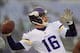Matt Cassel played well in Week 14 against the Baltimore Ravens, despite weather conditions and a lost season.