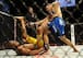 Weidman tries to pass Silva's guard while defending against upkicks.