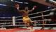 Stevenson's destruction of Chad Dawson earned him the light heavyweight title.