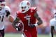 Louisville's Damian Copeland has 52 receptions for 690 yards with five touchdowns this season.