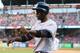 Outfielder Melky Mesa gained a bit of MLB experience with the New York Yankees.