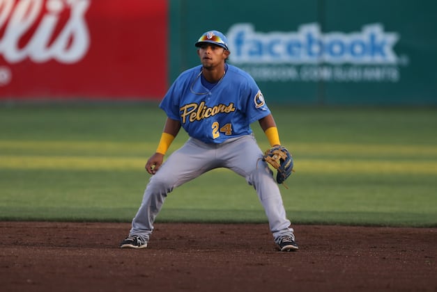 Texas Rangers' Top 10 Prospects for 2014