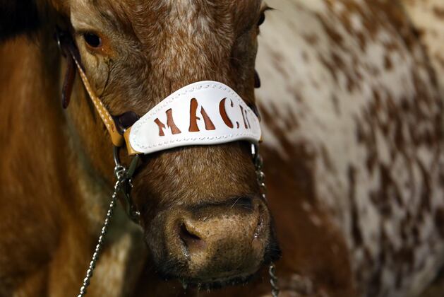 Texas Football: Top 5 Moments of the Mack Brown Era